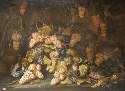 Still Life with Grapes