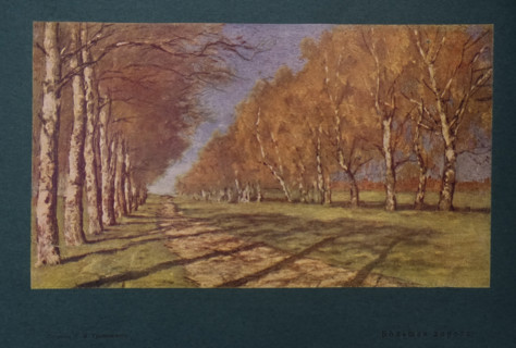 The big road