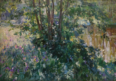 Overgrown Pond