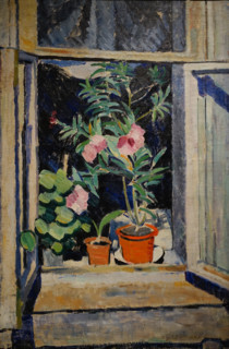 Flowers on the window