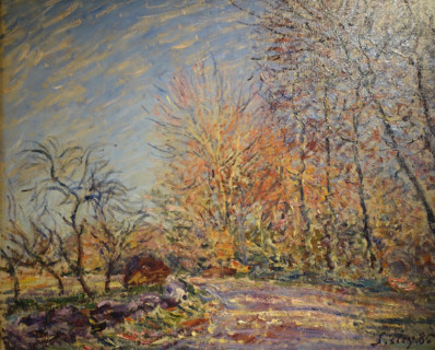 The Edge of the forest of Fontainebleau