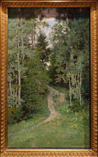 Aspen trees