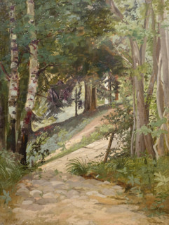 In the forest