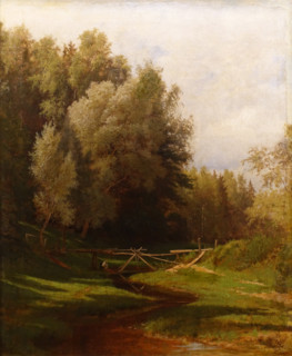Forest river