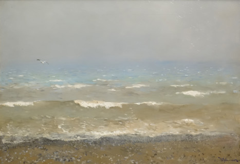 The Shore of the Mediterranean sea