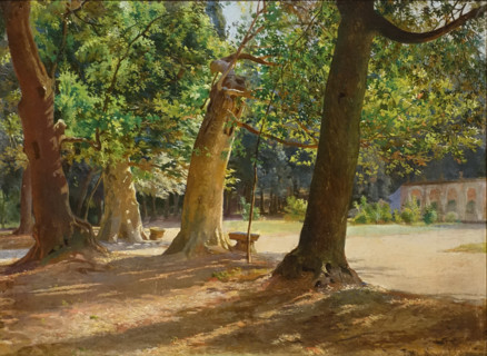 Oaks and Plane trees