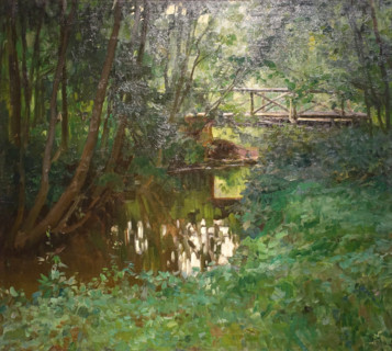 Overgrown pond