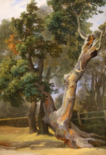 Trees