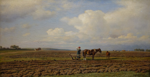 In the Field