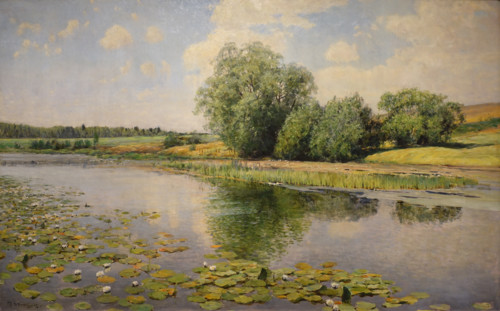 Water Lilies on the Pond