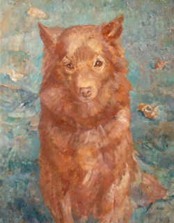 A Dog