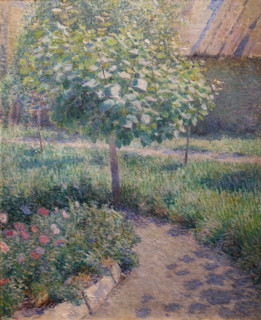 Small tree
