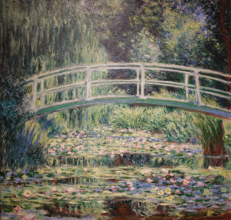 White Waterlilies