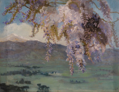 Wisteria is bloom
