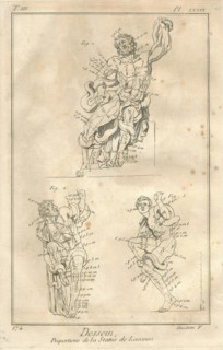 Encyclopv©die di Denis Diderot e Jean Baptiste Le Rond d'Alambert (1751-1772). TIII-PL XXXVI Dessein. Proporzioni della statua del Laocoonte