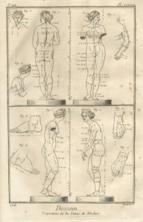 Encyclopv©die di Denis Diderot e Jean Baptiste Le Rond d'Alambert (1751-1772). TIII-PL XXXVIII Dessein. Proporzioni della Venere dei Medici