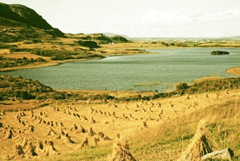 Traditional faming landscape with stooks haystacks.