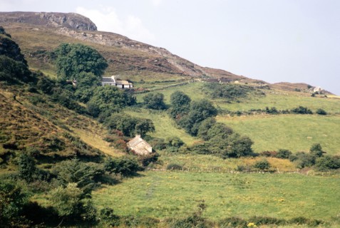 Traditional crofting farming landscape.