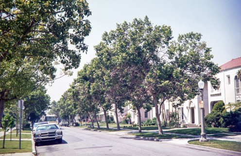 1972 Chevrolet Impala, suburban tree-lined street, California 1976