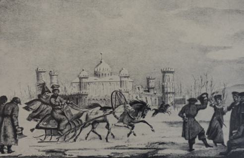Petrovsky Palace.