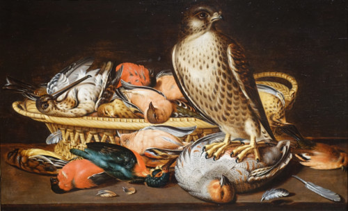 Falcon and the wildfowl.