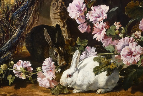 Peacock and rabbits among mallow flowers.