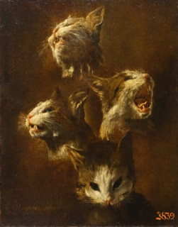 Study of a cat's head.