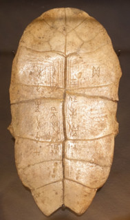 Divinatory tortoise shell.