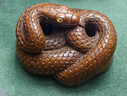 Snake.