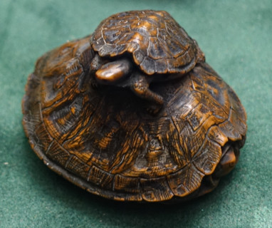 Two turtles.
