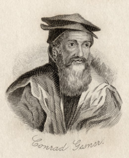 Conrad Gesner