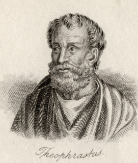 Theophrastus