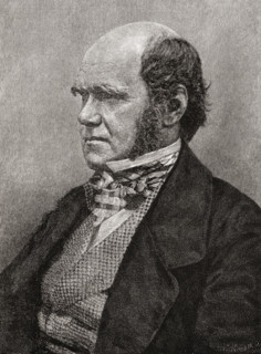Charles Darwin