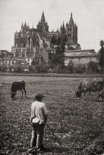 The Cathedral of León