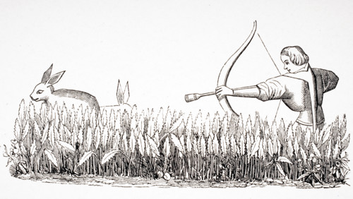 How to allure the hare. 19th century reproduction of 15th century miniature in the Manuscript of Phoebus.