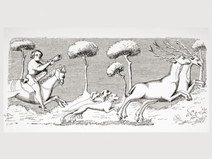 Nature and appearance of deer and how they can be hunted with dogs.