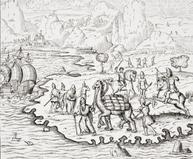 Transport of Merchandise on the Backs of Camels. 19th century reproduction of woodcut in La Cosmographie Universelle by Thevet edition of 1575.