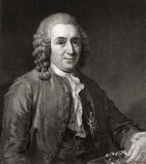 Carl Von Linne aka Linnaeus