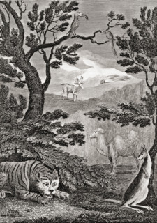 Part of the natural history of Asia. 18th century print engraved by Wallis after W.M.Craig.