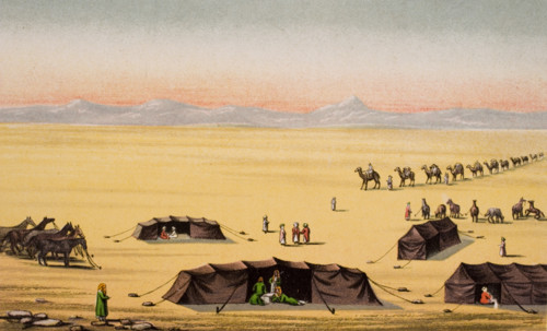 Our Desert Camp