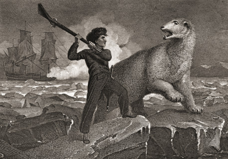 Nelson's Encounter with a Bear. Horatio Nelson