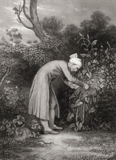 William Cowper