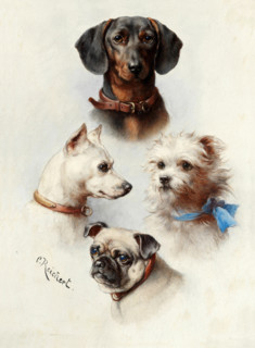 Carl Reichert