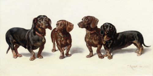 Carl Reichert