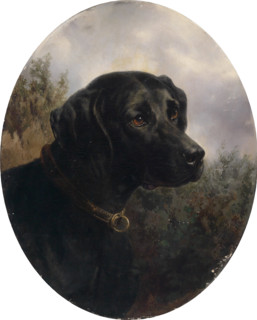 Carl Reichert