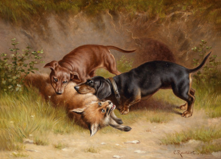 Carl Reichert