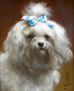 Carl Reichert