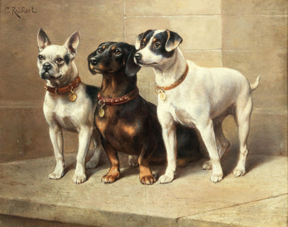 Carl Reichert