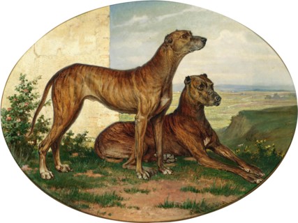Carl Reichert