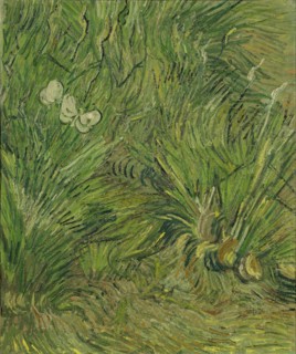 Garden with Butterflies (1889)